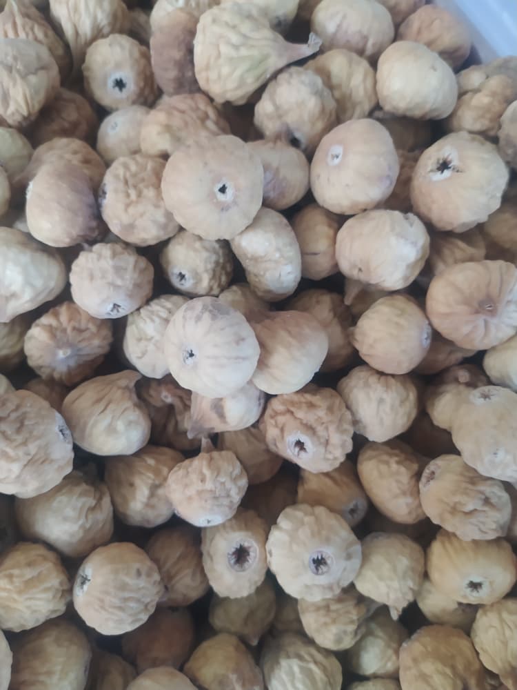 تصویر 1 از فروش انجیر سفید دو آ + خرید به صرفه